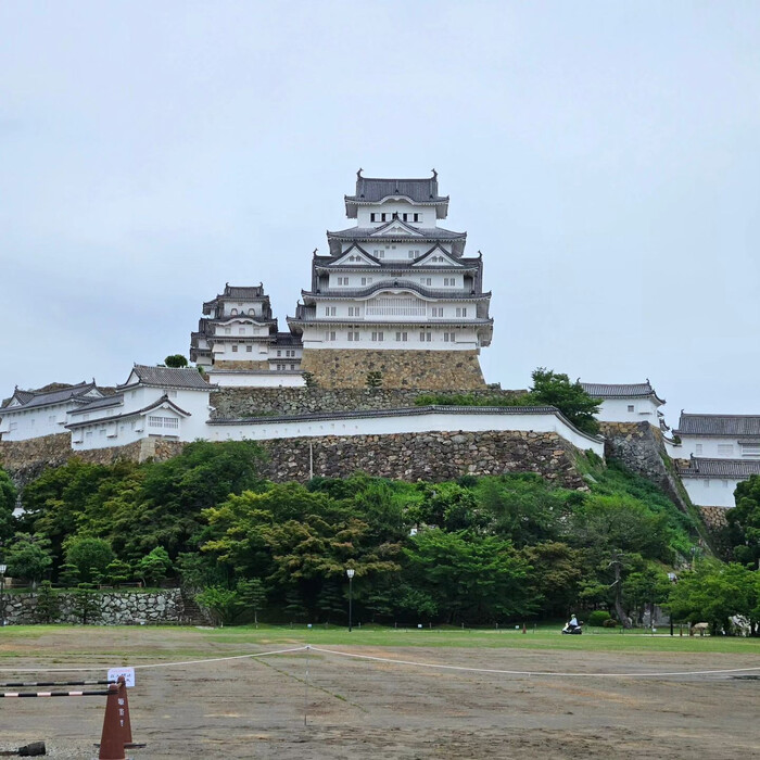 画像257