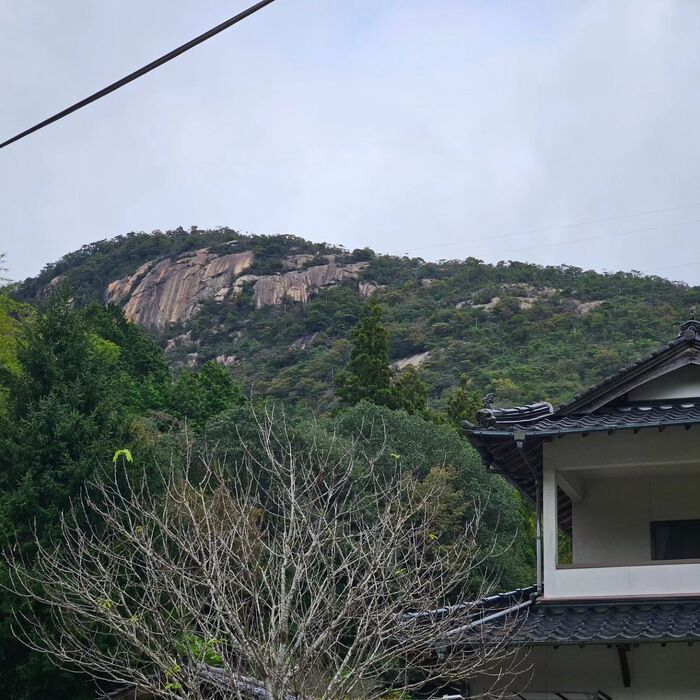 画像287