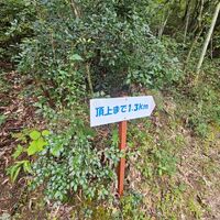 画像288