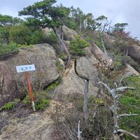 画像290