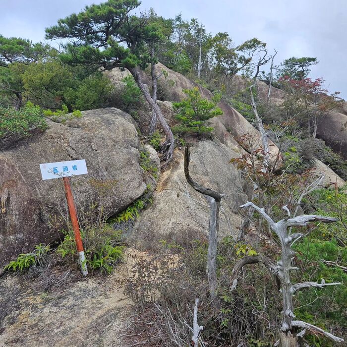 画像290