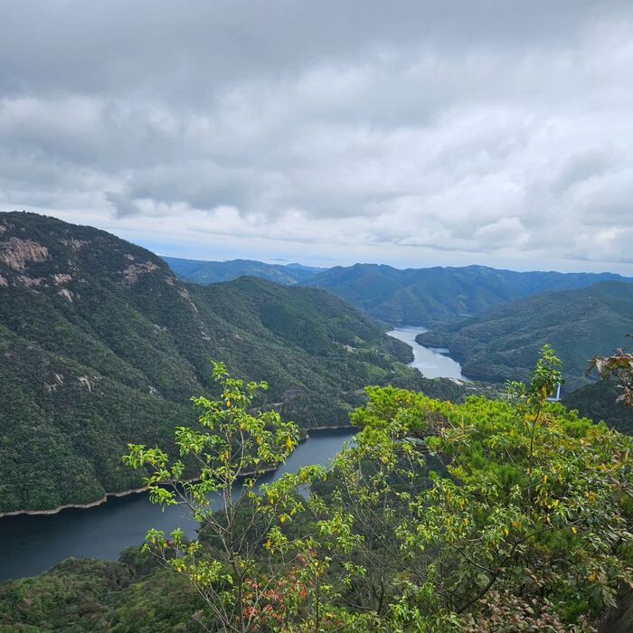 画像293