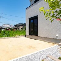 画像298