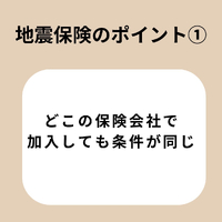 画像447