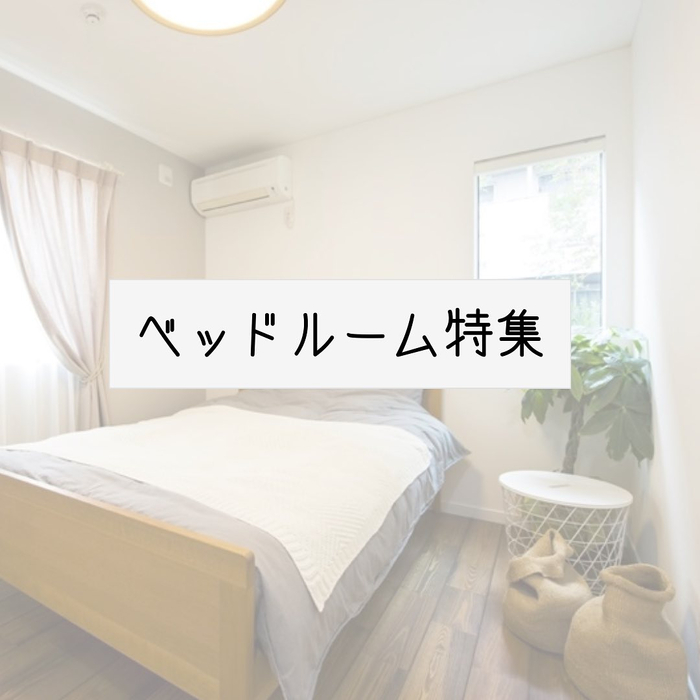 画像546