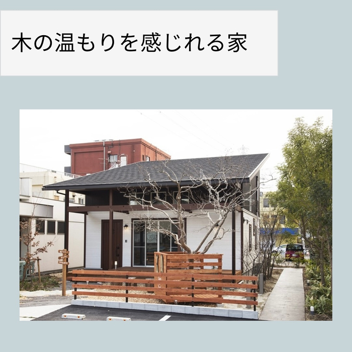画像646